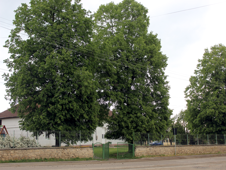 Várfalva, általánosan