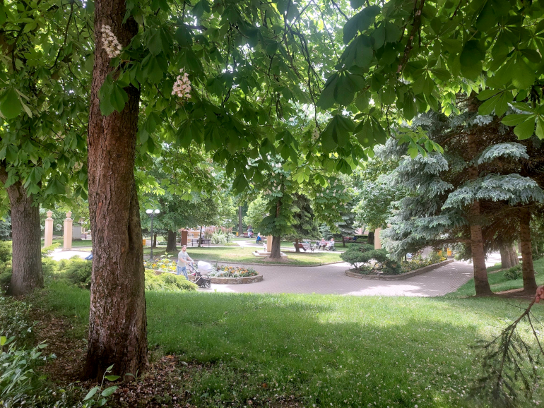 Szilágysomlyó, általánosan